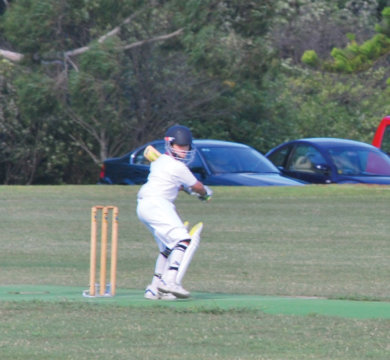 Young cricketer x