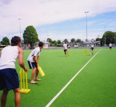 tauranga x