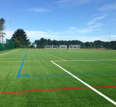 Artificial grass vs astroturf x