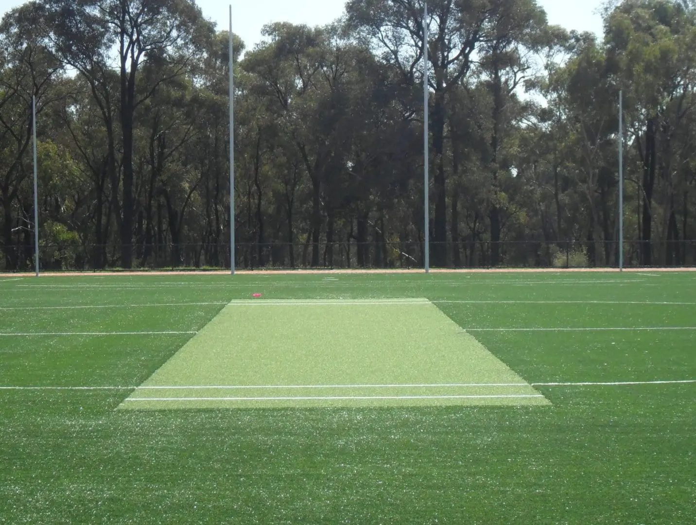 Everything You Need To Know About Turf Cricket Pitches 2 cricket wicket Maryborough