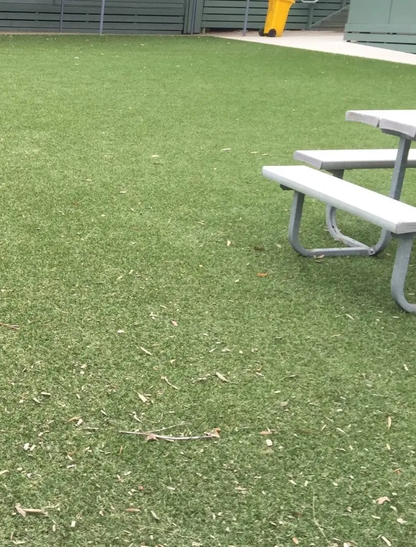 The Buckley Park Story