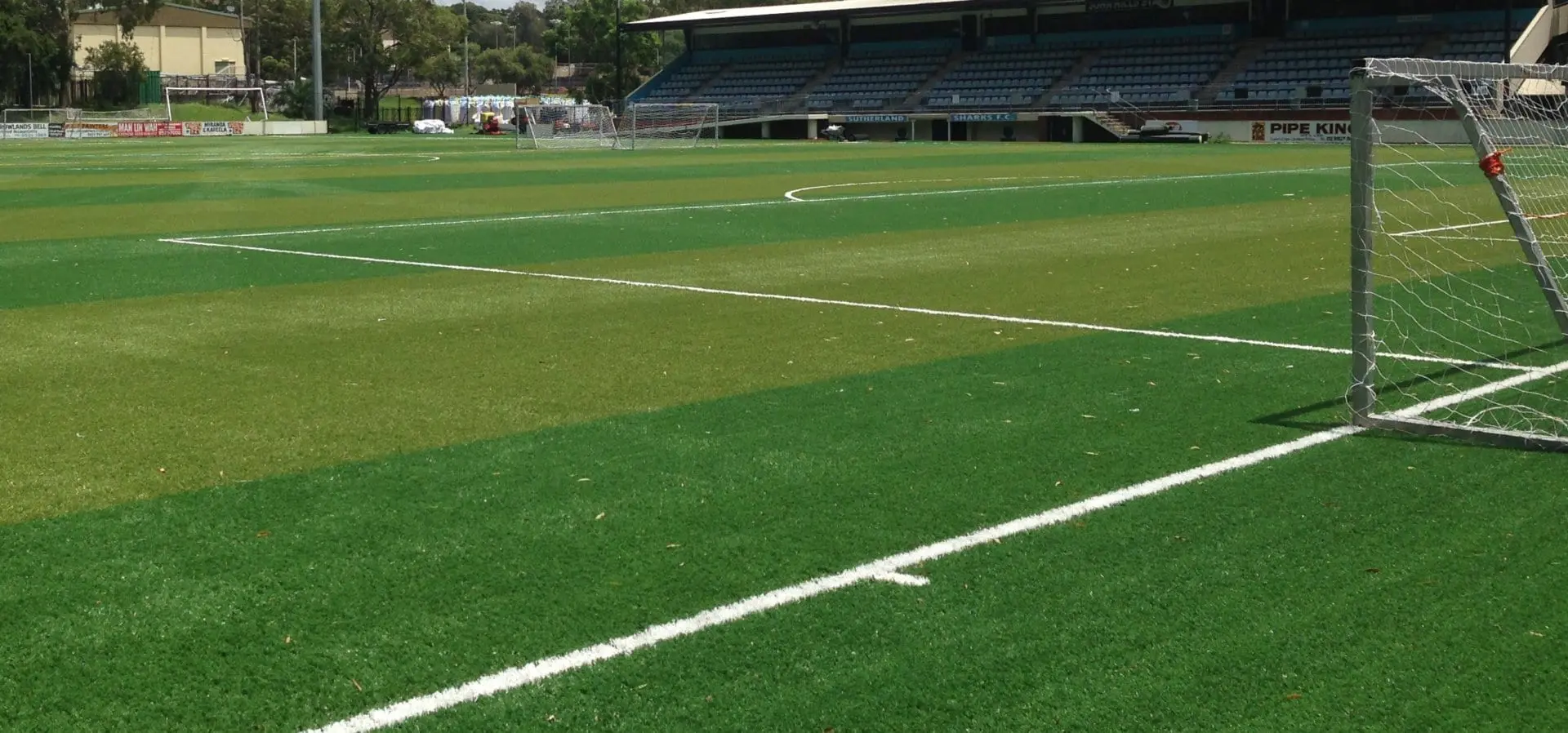 The Seymour Shaw / Sutherlands Sharks Story