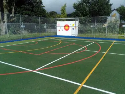The Expert Guide to Sports Turf 7 Multisport2