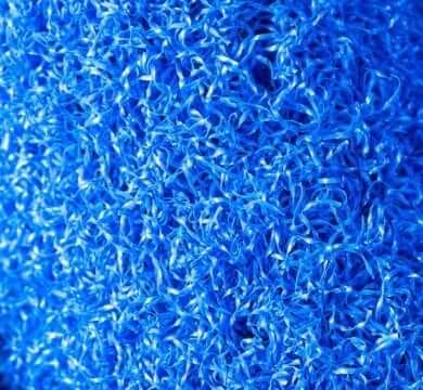 Color Light Blue