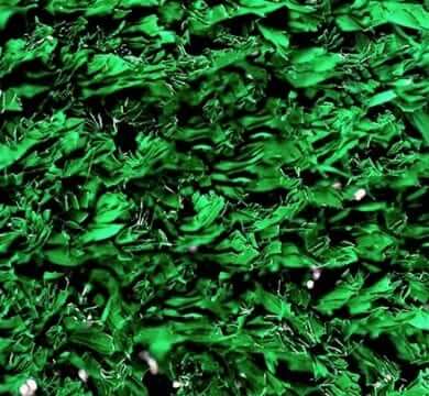 Color Dark Green