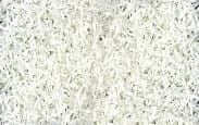 Color White