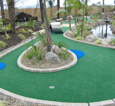 Mini Putt  x