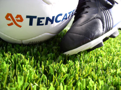 RS TenCate Grass  x
