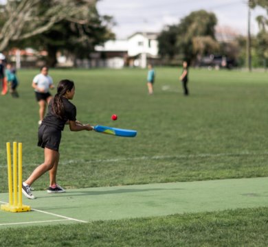 cricket web  x