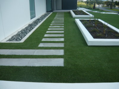 Walsh main lawn after x