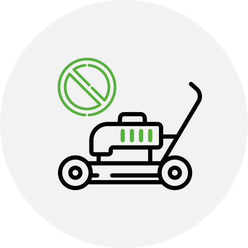 Low Maintenance - icon