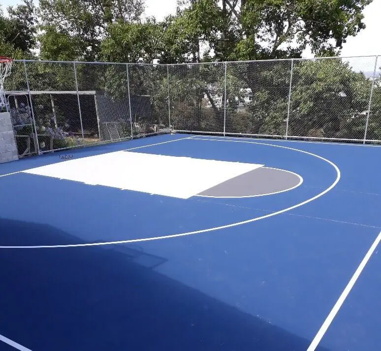 A passion for basketball fulfilled 