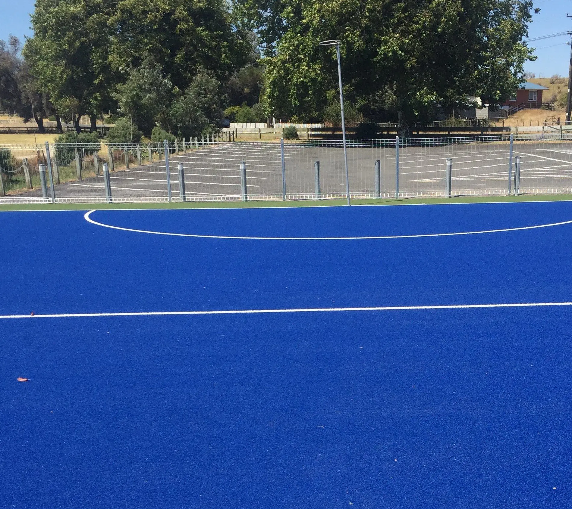 Encouraged Students Into Playing Sports 