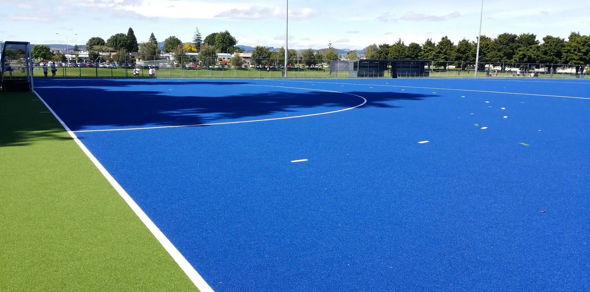The Tauranga College Story