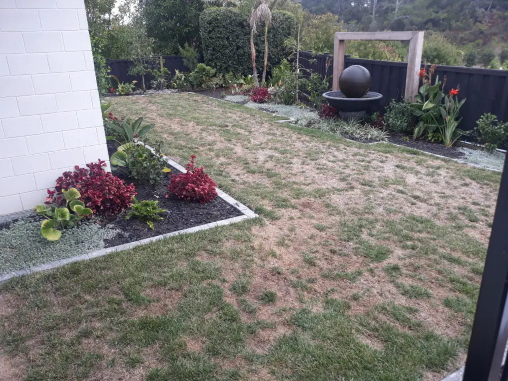 Replacing a natural lawn in dire need of a total renovation