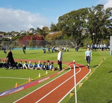 Dynamic & Durable Synthetic Grass for Schools 7 Synthetic grass