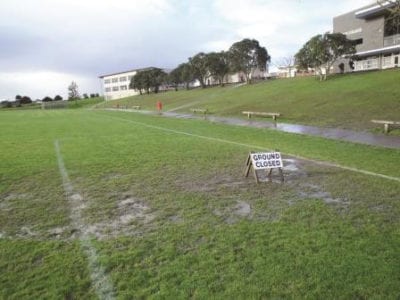 wet pitch  x