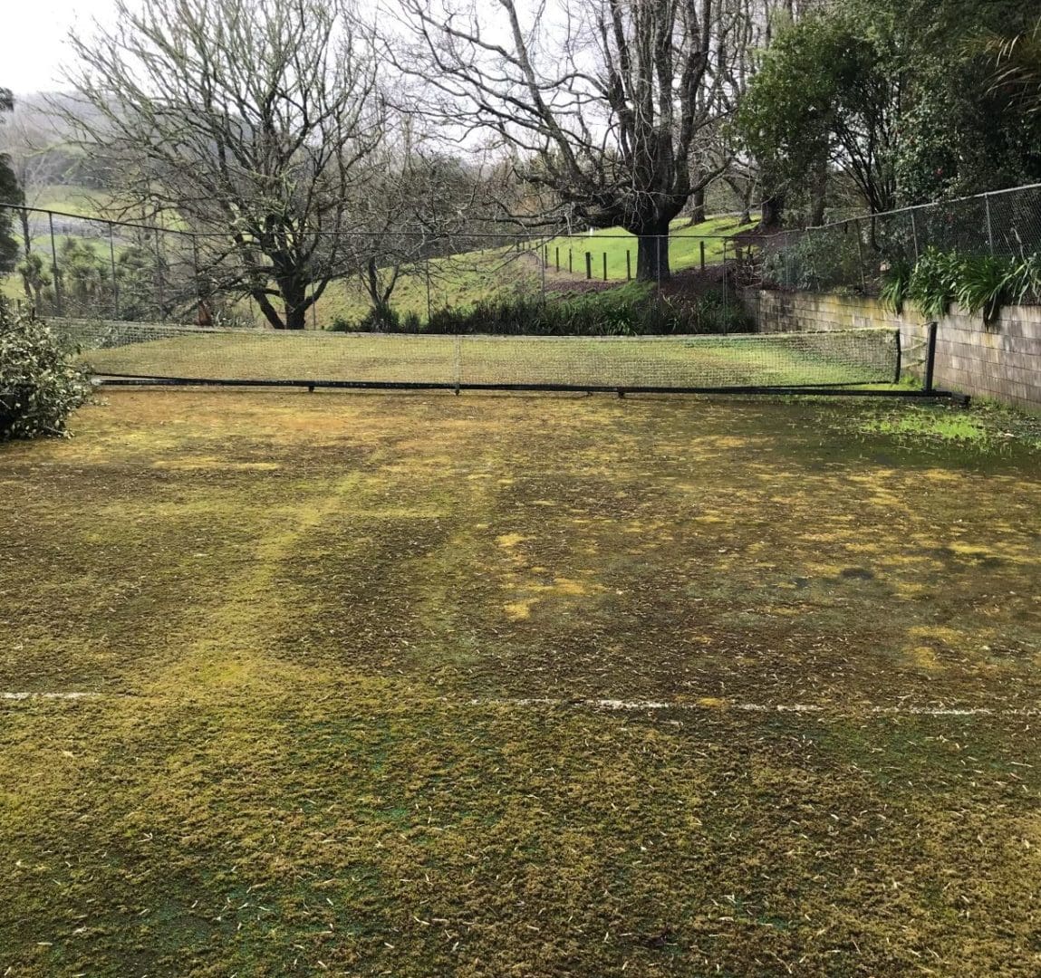 Maintaining Your Residential Tennis Court 2 Before TigerTurf maintenance