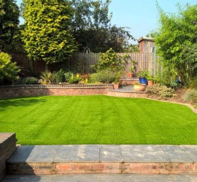 Georgie Landscape After