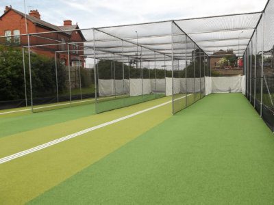 TigerTurf Cricket