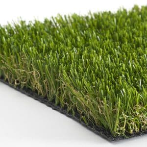 Landscape Summer Envy 8
