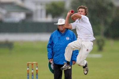 Synthetic turf cricket wicket