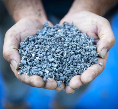 Can Artificial Grass be Sustainable? 26 Ecocept