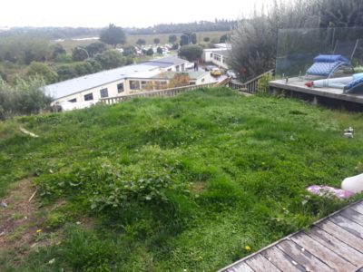 Top view of Gray before enhancement