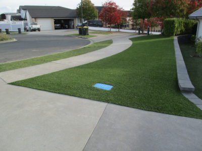 Beautiful artificial grass near road made by TigerTurf New Zealand