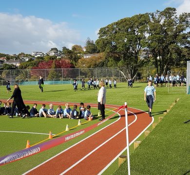 Dynamic & Durable Synthetic Grass for Schools 35 synthetic grass