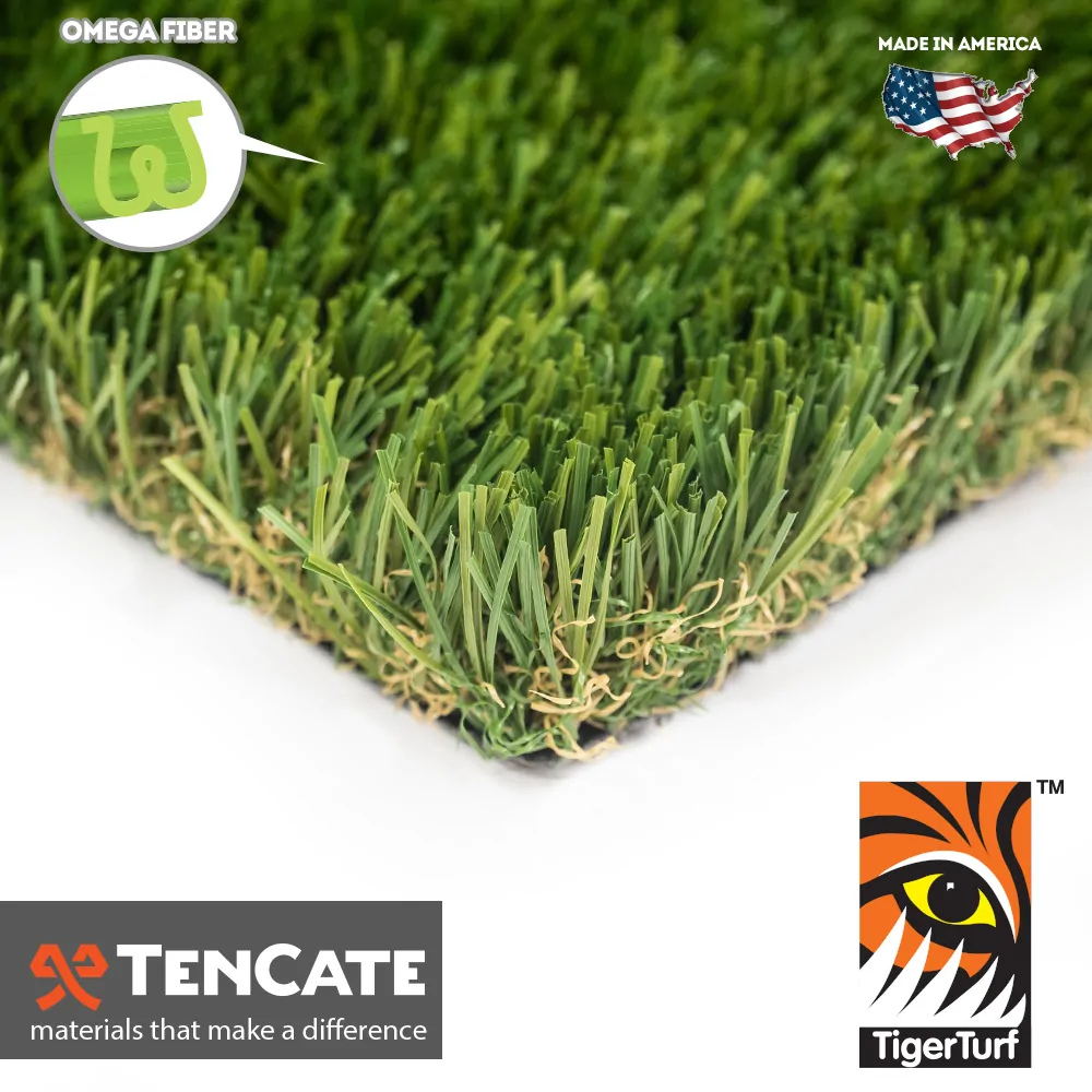 Everglade Fescue Pro