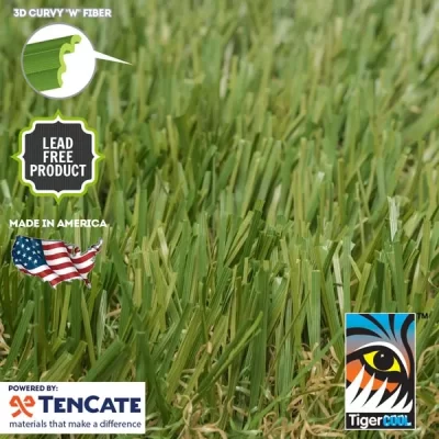 diamond light fescue x