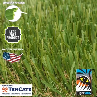 diamond pro fescue x