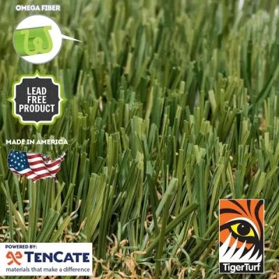 everglade fescue x