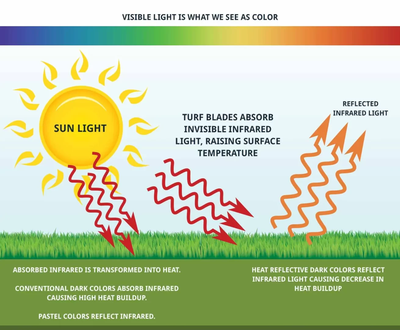 visible light graphic x